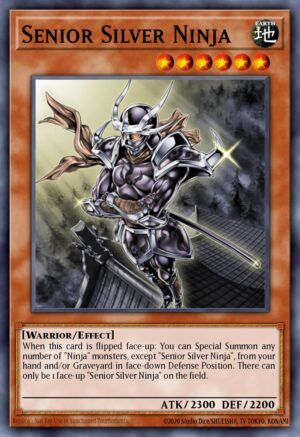 Senior Silver Ninja (PHSW-EN031)