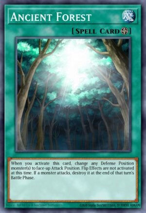 Ancient Forest Ancient Forest