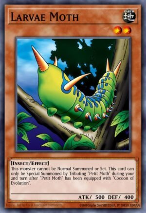Larvae Moth (DB1-EN144)