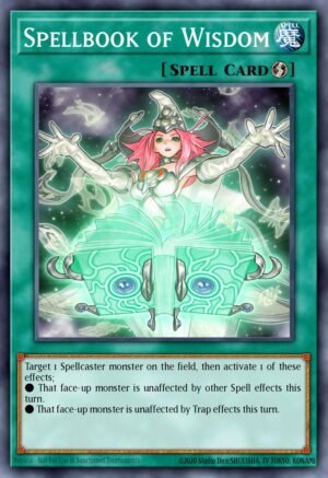 Spellbook of Wisdom