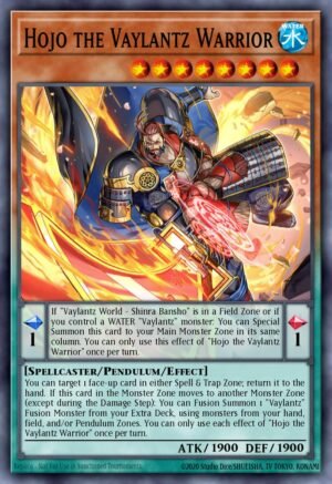 Hojo the Vaylantz Warrior (TAMA-EN004)