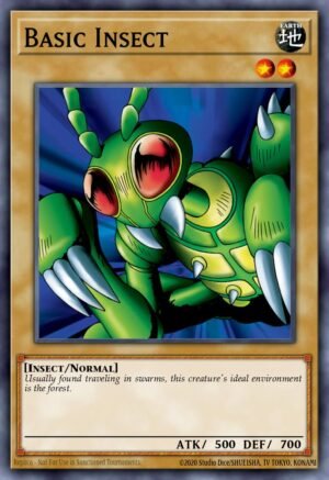 Basic Insect Basic Insect