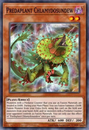 Predaplant Chlamydosundew (FUEN-EN005)