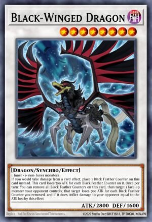 Black-Winged Dragon Black-Winged Dragon