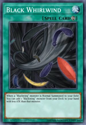 Black Whirlwind Black Whirlwind