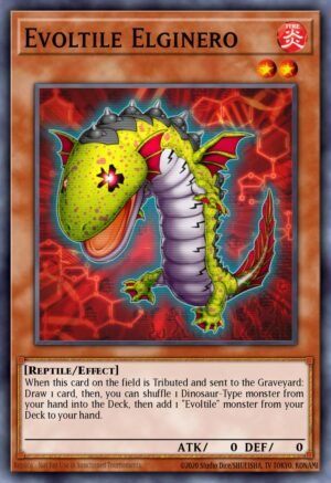Evoltile Elginero (GAOV-EN083)