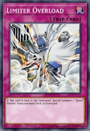 Limiter Overload (DP08-EN030)