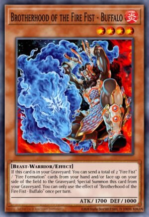 Brotherhood of the Fire Fist – Buffalo Brotherhood of the Fire Fist – Buffalo