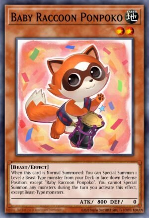 Baby Raccoon Ponpoko Baby Raccoon Ponpoko