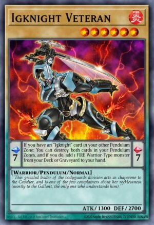 Igknight Veteran (DOCS-EN031)