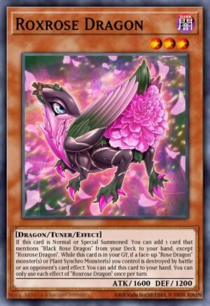 Roxrose Dragon (LIOV-EN009)