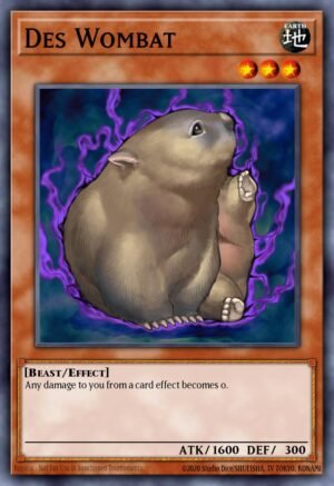 Des Wombat (DR3-EN211)
