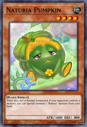 Naturia Pumpkin (HAC1-EN117)