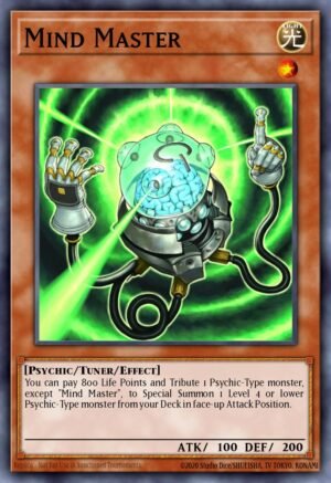 Mind Master (TDGS-EN016)
