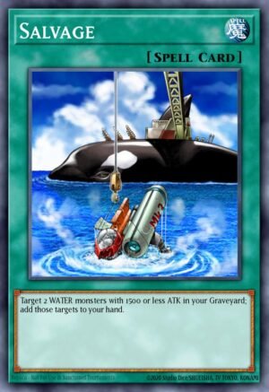 Salvage (SDRE-EN030)
