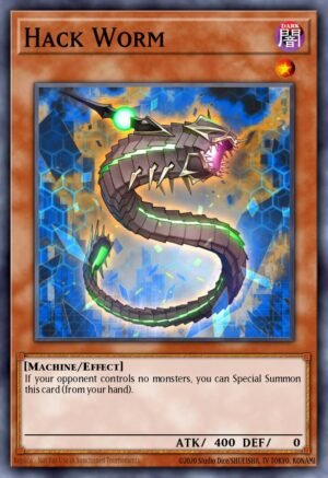 Hack Worm (COTD-EN012)