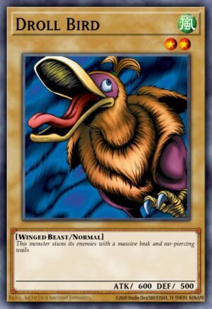 Droll Bird (WP11-EN001)