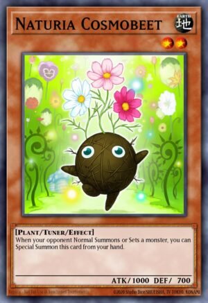 Naturia Cosmobeet (DT02-EN072)
