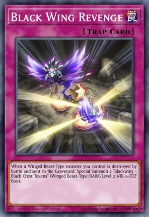 Black Wing Revenge Black Wing Revenge