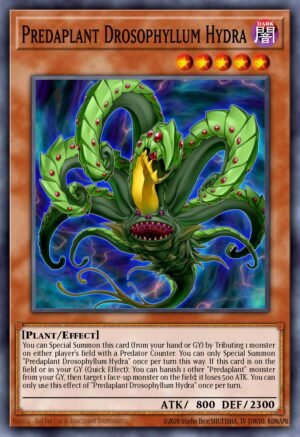 Predaplant Drosophyllum Hydra (FUEN-EN002)