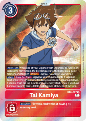 Tai Kamiya Tai Kamiya