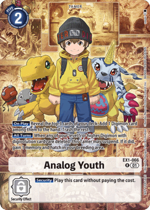 Analog Youth