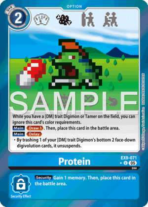 Protein