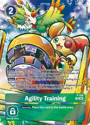 Agility Training