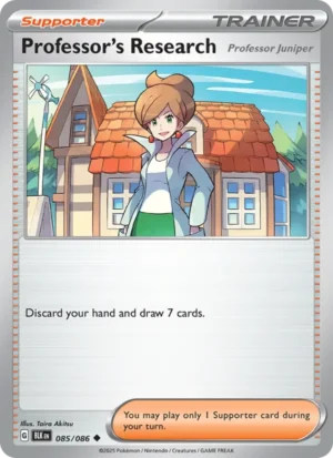 Professor’s Research