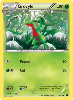 Grovyle Grovyle