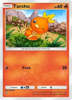 Torchic Torchic