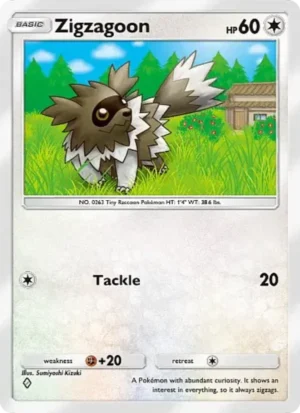 Zigzagoon Zigzagoon