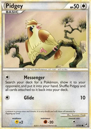 Pidgey Pidgey