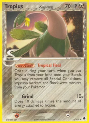 Tropius d