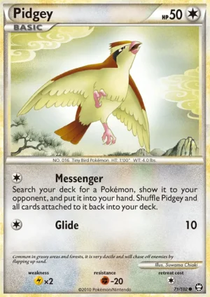 Pidgey Pidgey