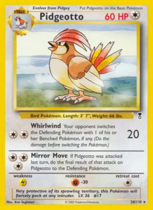Pidgeotto Pidgeotto