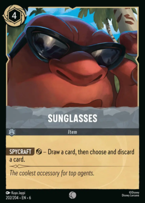 Sunglasses Sunglasses