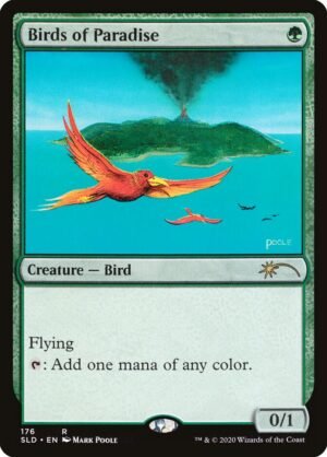 Birds of Paradise (SLD-176)