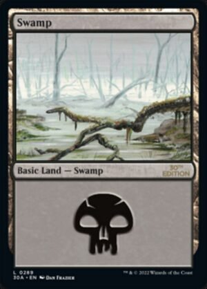 Swamp (30A-289)