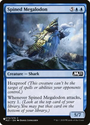 Spined Megalodon Spined Megalodon