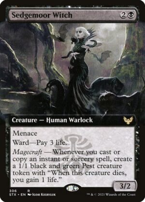 Sedgemoor Witch Sedgemoor Witch