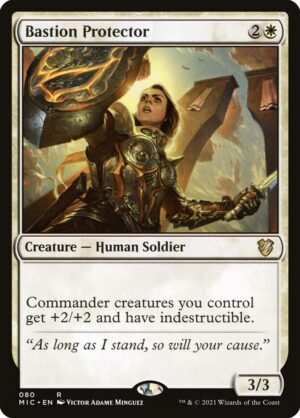 Bastion Protector (MIC-80)
