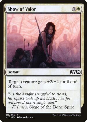 Show of Valor (M20-311)