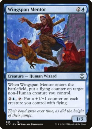 Wingspan Mentor Wingspan Mentor