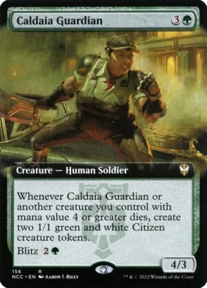 Caldaia Guardian (NCC-156)