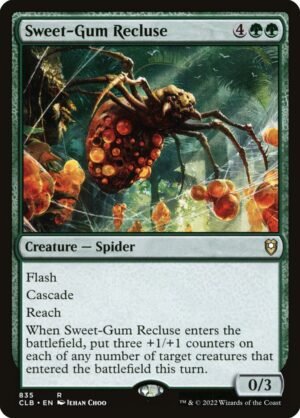 Sweet-Gum Recluse (CLB-835)