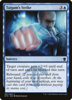 Taigams Strike (DTK-81)