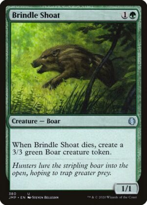 Brindle Shoat (JMP-380)