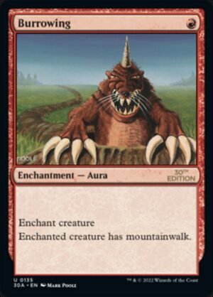 Burrowing (30A-135)