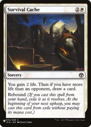 Survival Cache (PLST-IMA-34)